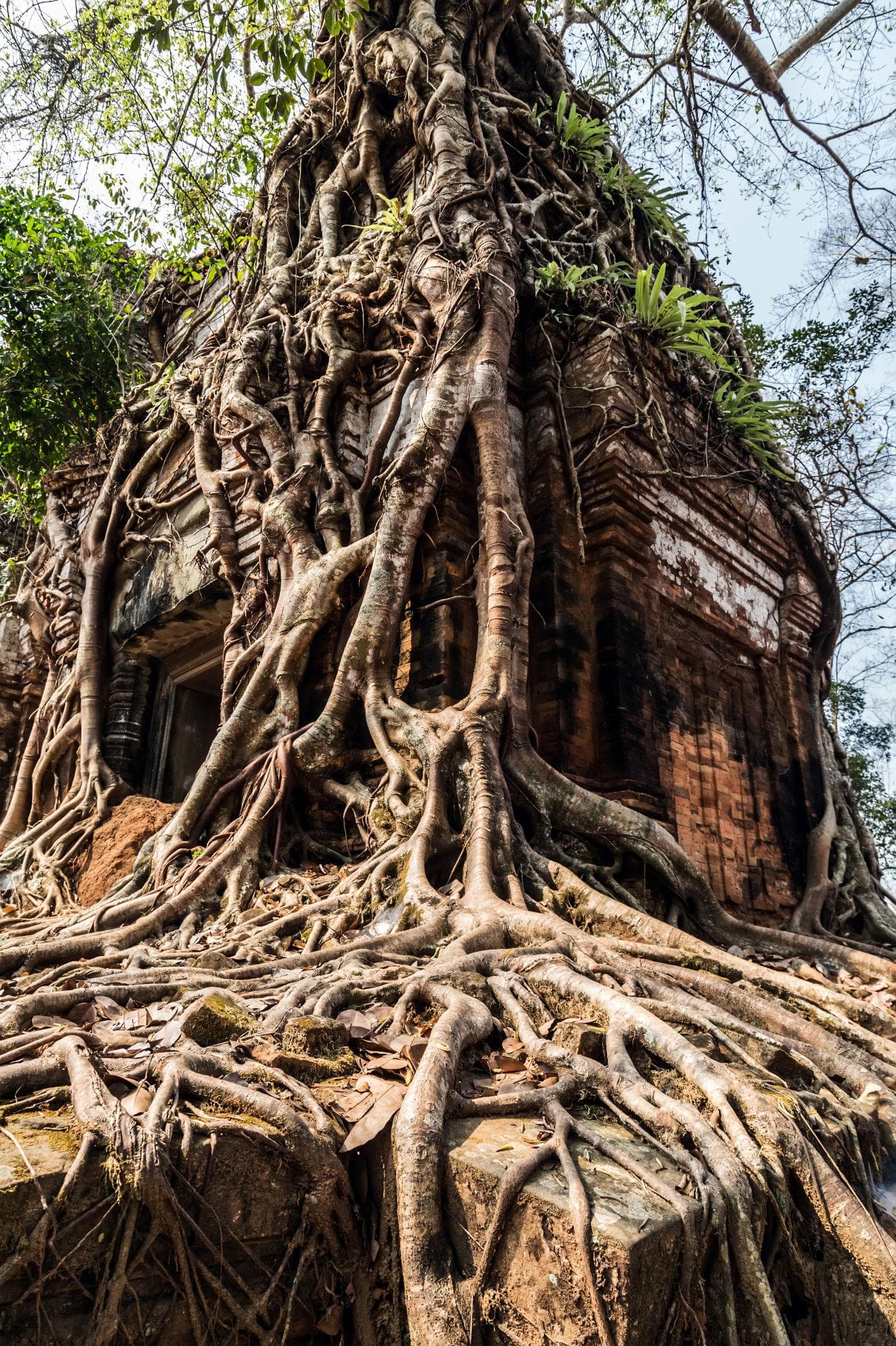 Koh Ker Temple Full-Day Private Tour